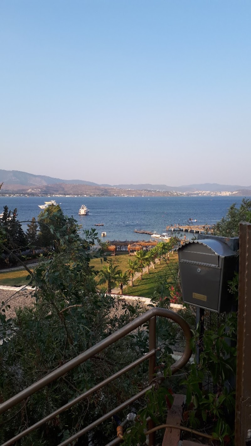 İslamhaneleri Köyü Muhtarlığı fotoğrafı