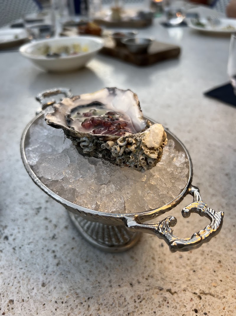 Tipsy Crab fotoğrafı