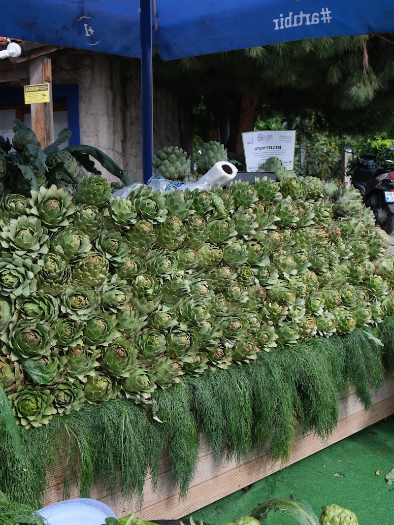 Acı Ot Festivali fotoğrafı