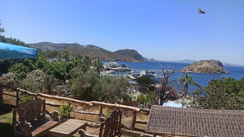 Bahçe Gümüşlük fotoğrafı