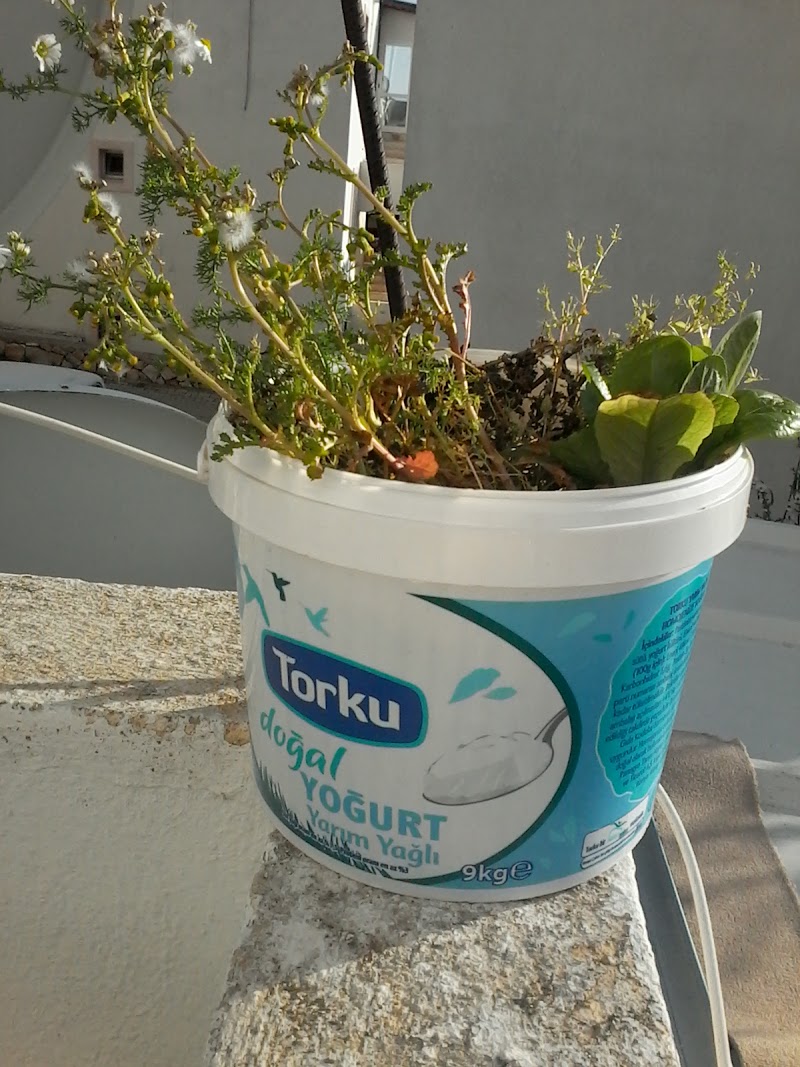 Konacik Cahit Ozvezneci Ilkogretim Okulu fotoğrafı