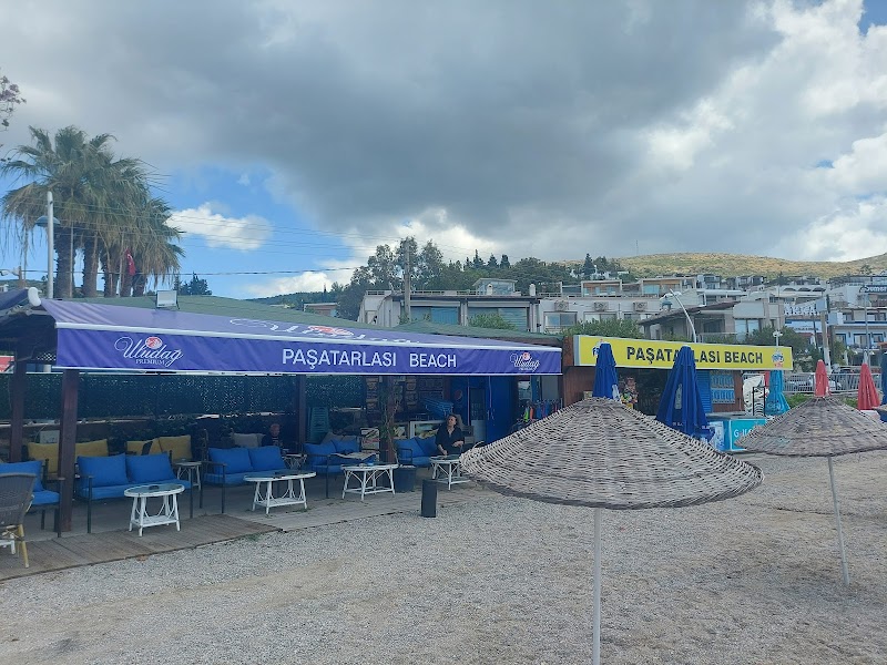 PaşaTarlası Beach fotoğrafı