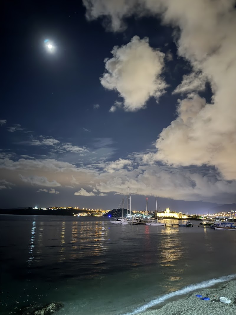 PaşaTarlası Beach fotoğrafı