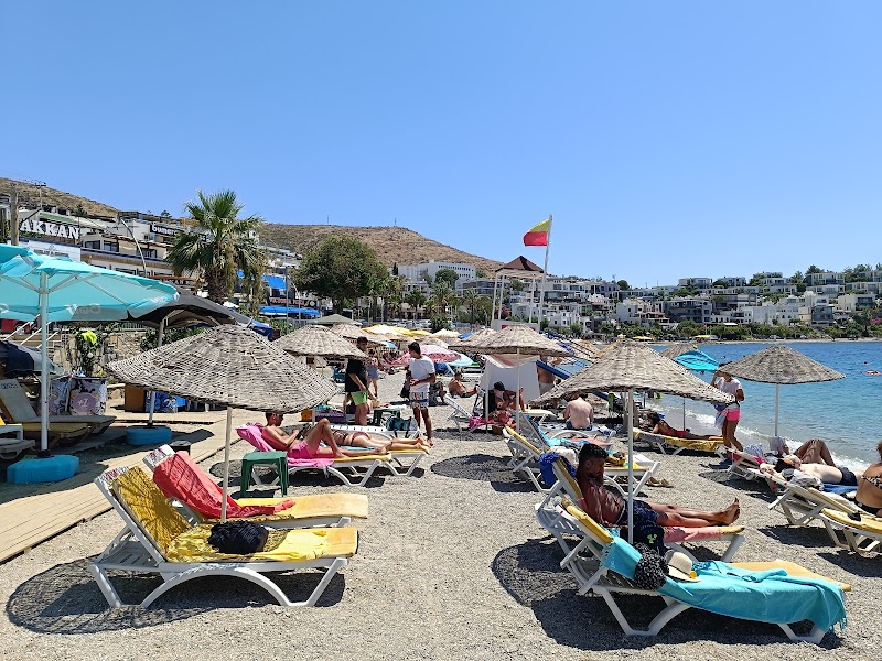 PaşaTarlası Beach fotoğrafı