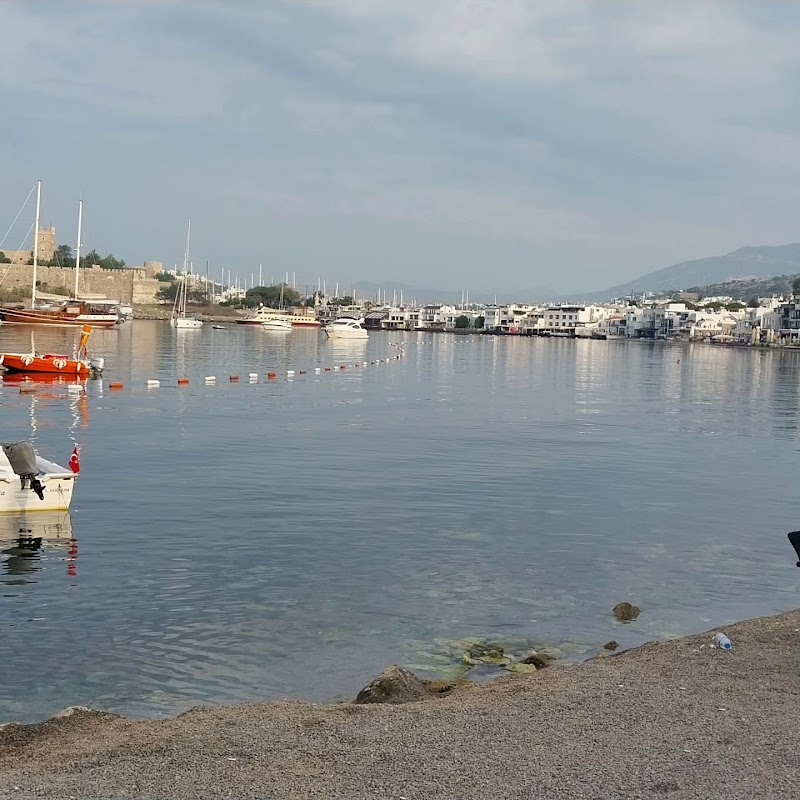 Bodrum kumbahçe fotoğrafı