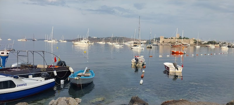 Bodrum kumbahçe fotoğrafı