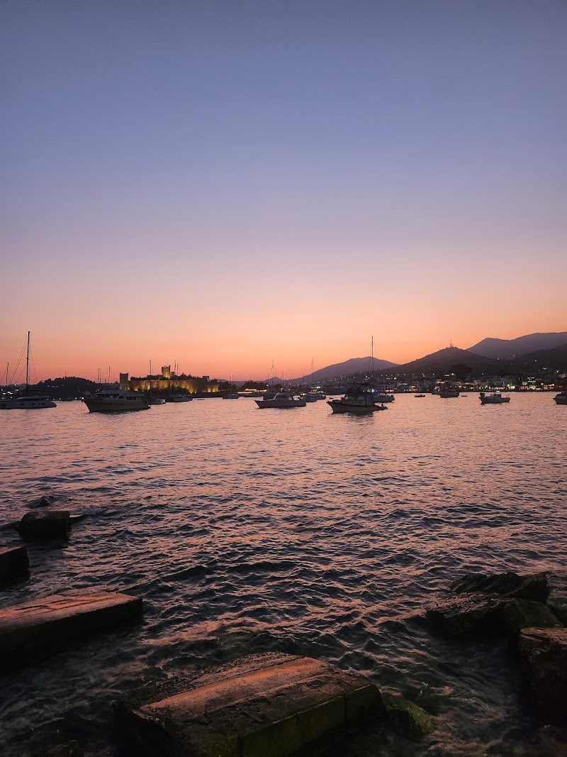 Bodrum kumbahçe fotoğrafı