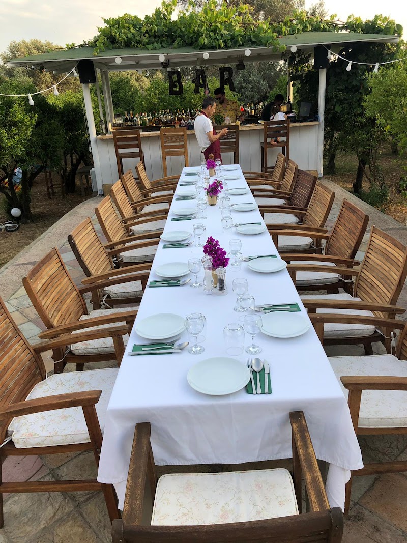 trattoria il mandarino fotoğrafı