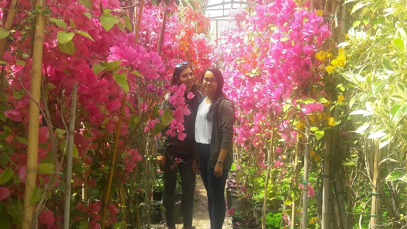 Veera Organizasyon fotoğrafı