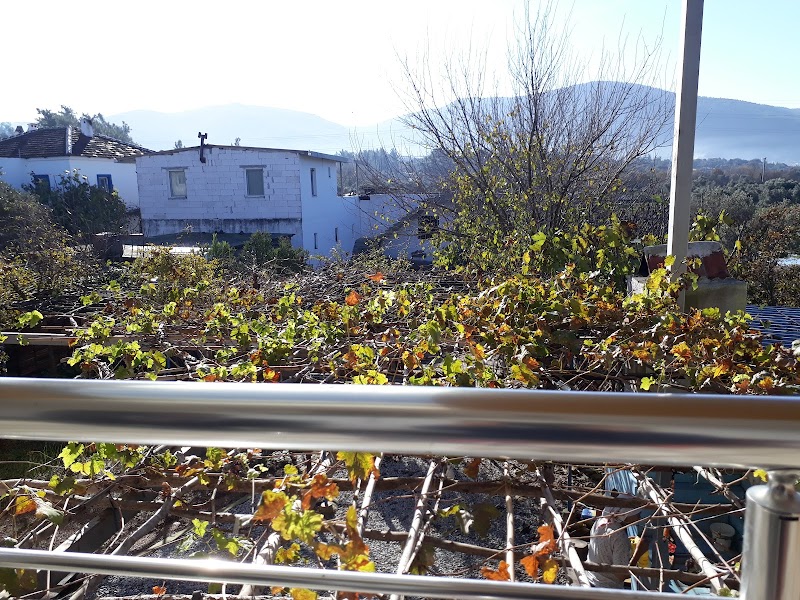 Pınarlıbelen fotoğrafı