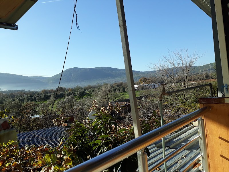 Pınarlıbelen fotoğrafı