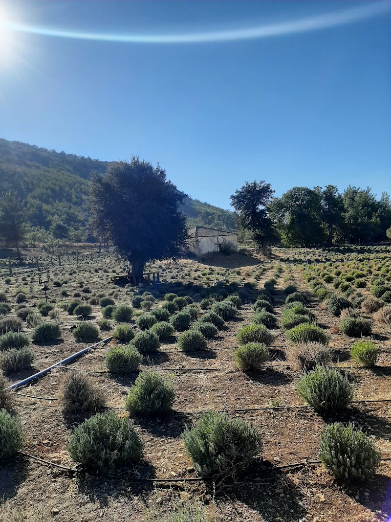 Garaova Tarım Park fotoğrafı