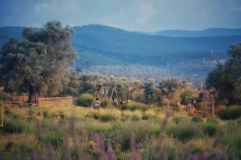 Garaova Tarım Park fotoğrafı