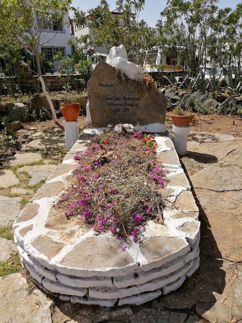 Halikarnas Balıkçısı Müzesi fotoğrafı