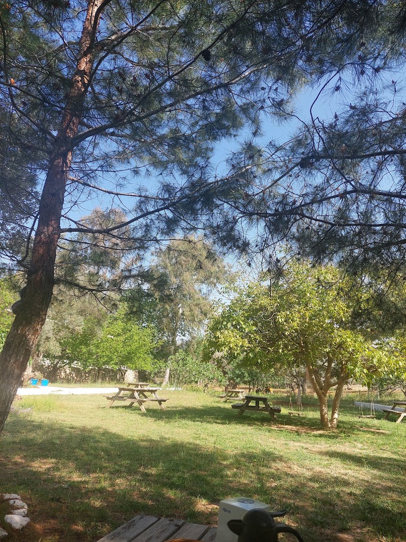 Papara Koy kahvaltisi fotoğrafı