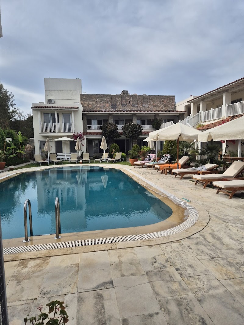 Shah hotel fotoğrafı