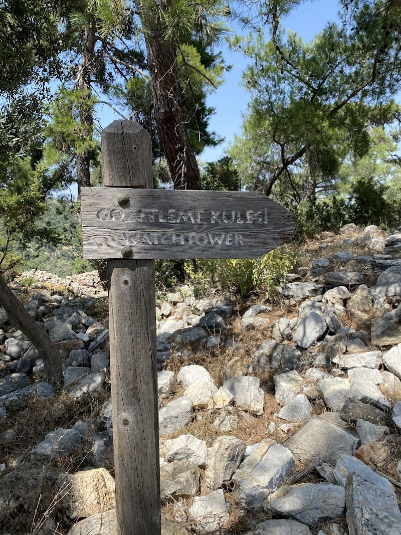 Pedasa Antique City fotoğrafı