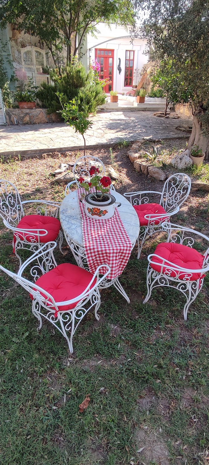 Rosemary Bodrum fotoğrafı