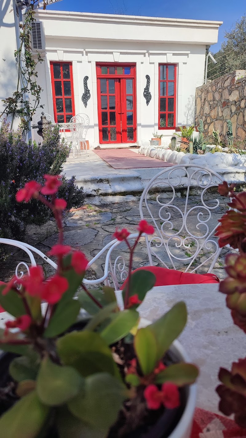 Rosemary Bodrum fotoğrafı