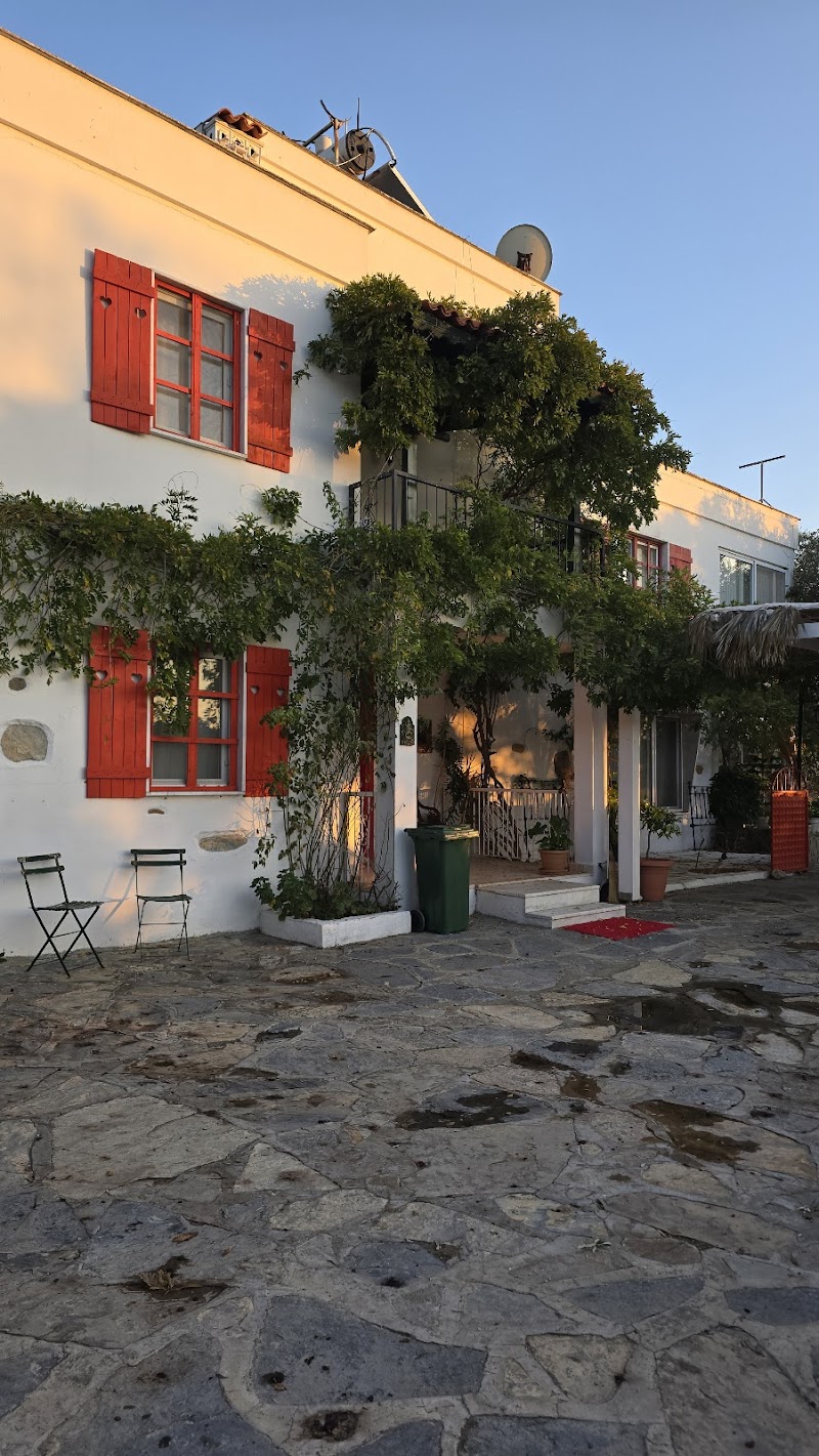 Rosemary Bodrum fotoğrafı