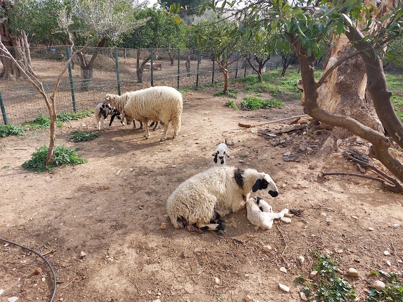 Marmara Koleji fotoğrafı