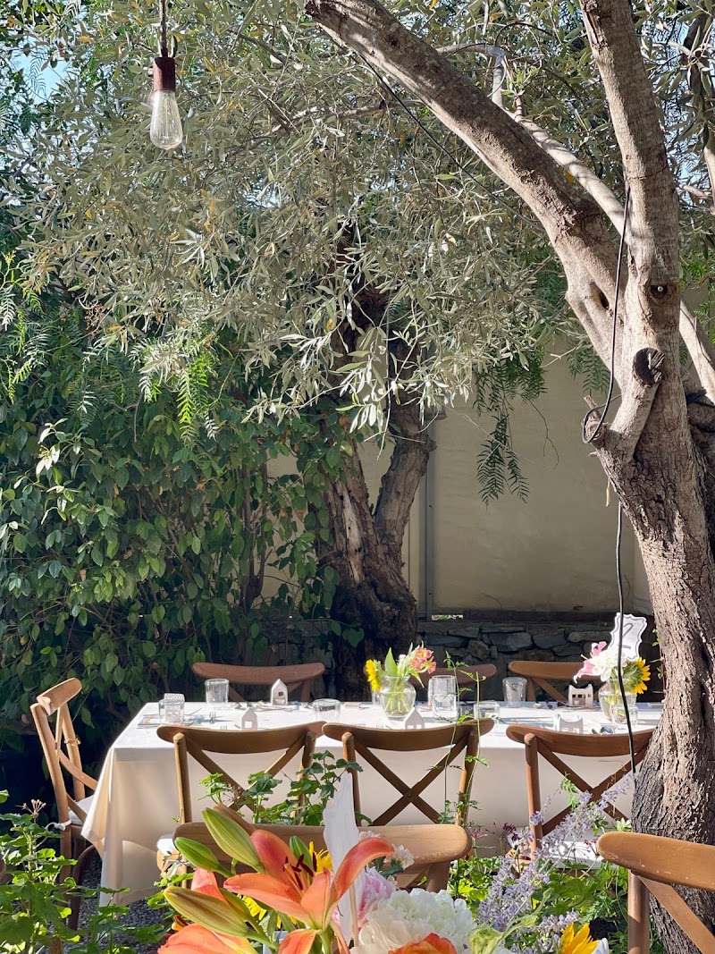 Stella Kulüp Bodrum fotoğrafı