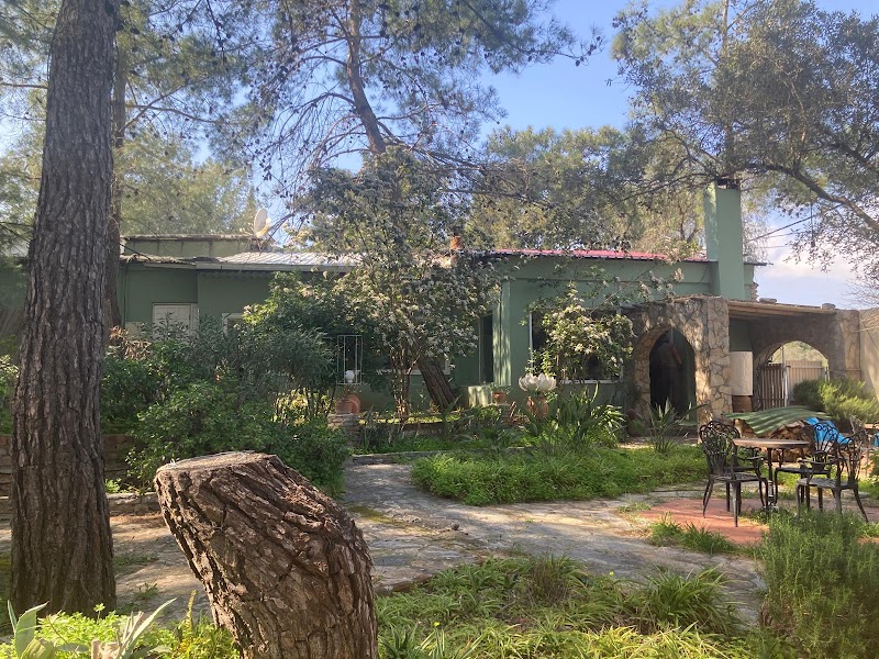 Stella Kulüp Bodrum fotoğrafı