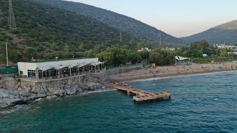 Yalıçiftlik Restaurant,Cafe & Plaj - Bodrum Belediye A.Ş. fotoğrafı