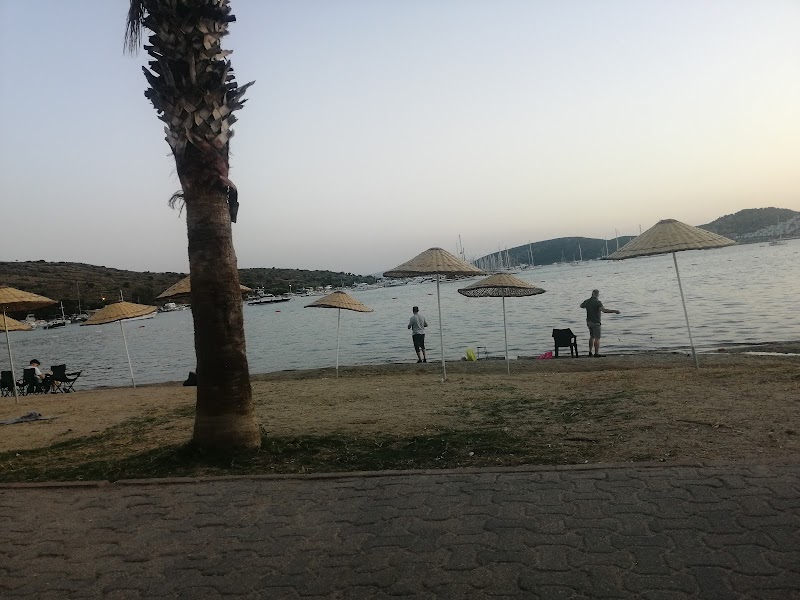 Gümbet Cafe & Plaj - Bodrum Belediye A.Ş. fotoğrafı