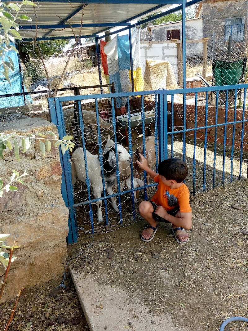 Gökpınar fotoğrafı