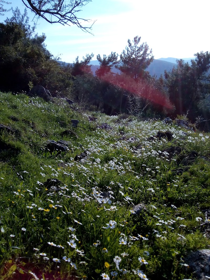 Gökpınar fotoğrafı