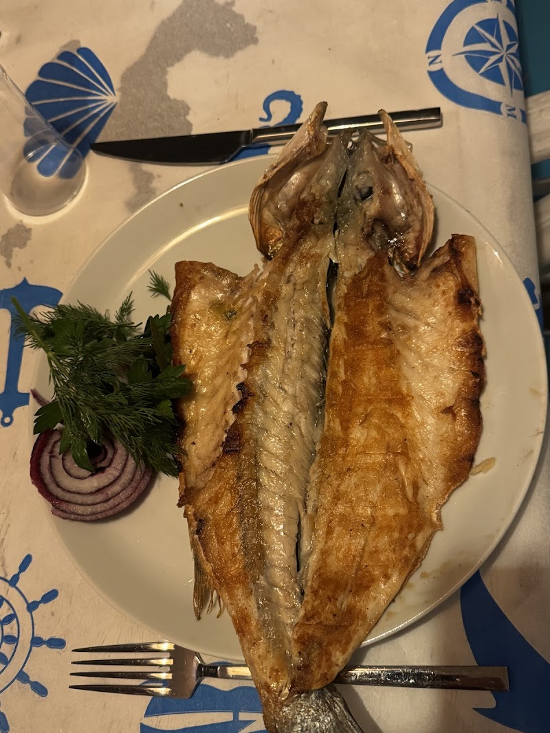 10Gri Bodrum fotoğrafı