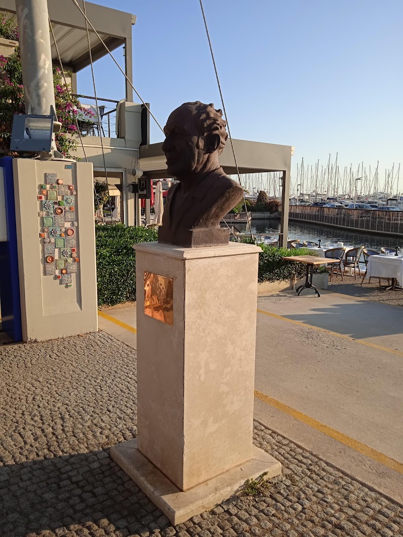 D-Marin Turgutreis Amfi Tiyatrosu fotoğrafı