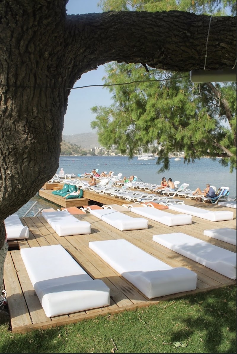 Magi Beach fotoğrafı
