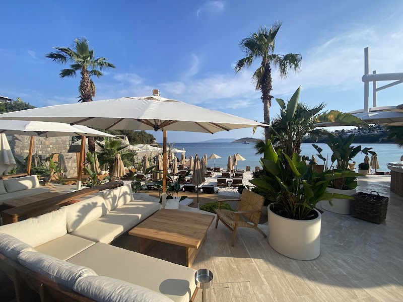 Coze Bodrum fotoğrafı
