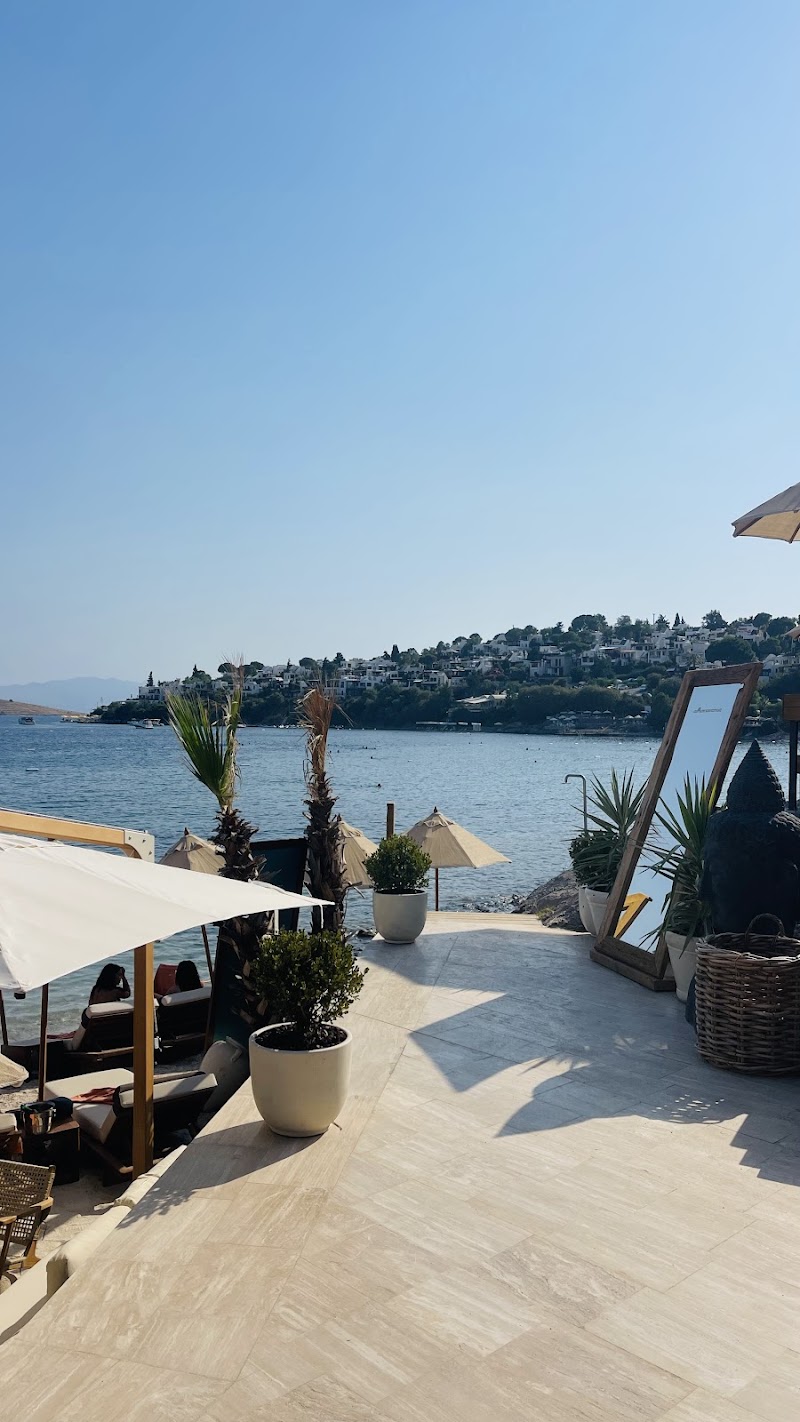 Coze Bodrum fotoğrafı