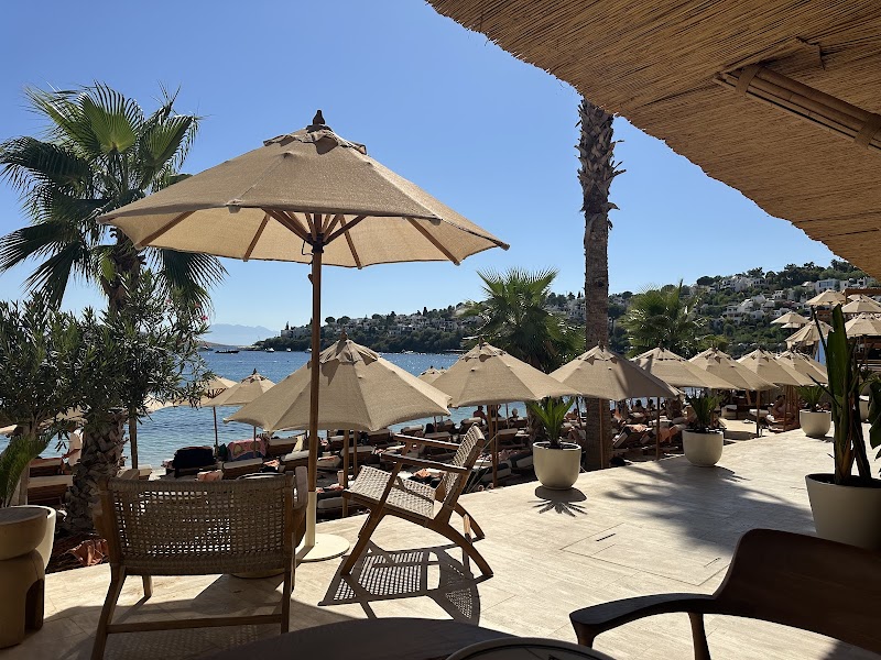 Coze Bodrum fotoğrafı