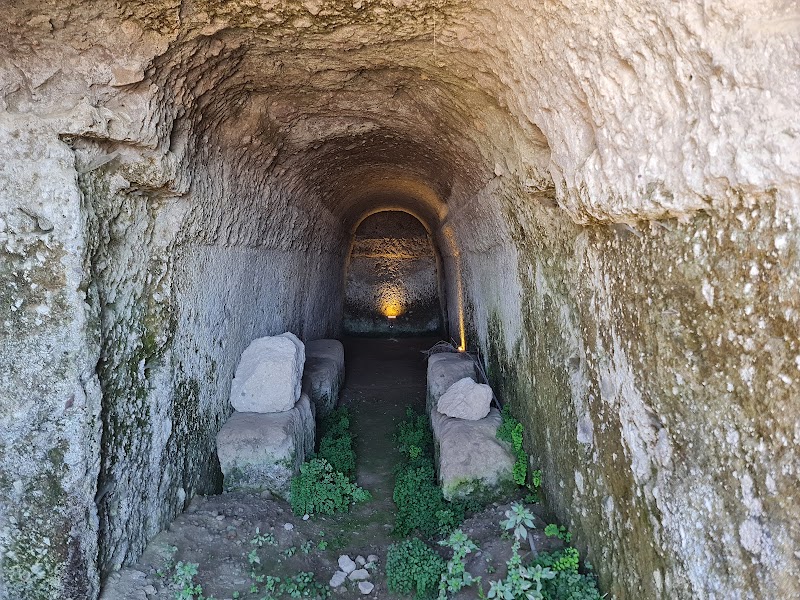 Bodrum Ancient Theatre fotoğrafı