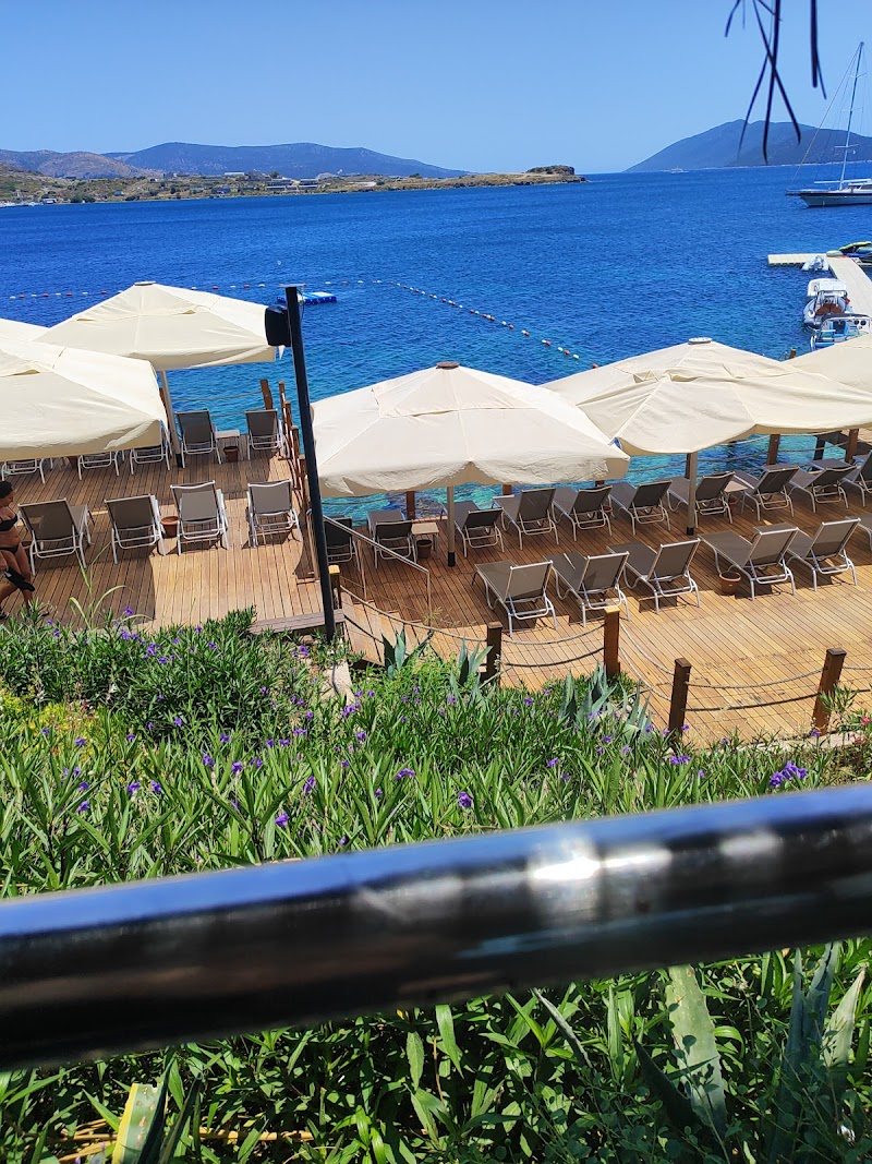 Aura Beach fotoğrafı
