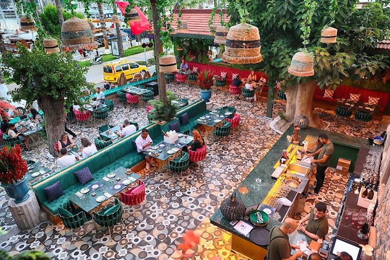 Dutt Bodrum fotoğrafı