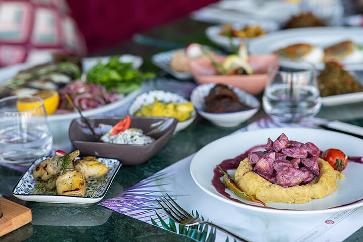 Dutt Bodrum fotoğrafı