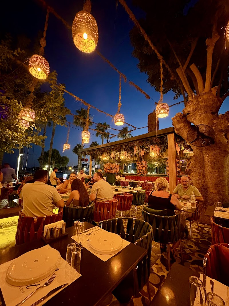 Dutt Bodrum fotoğrafı