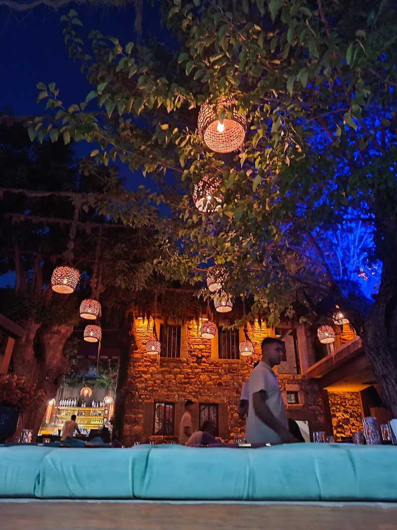 Dutt Bodrum fotoğrafı