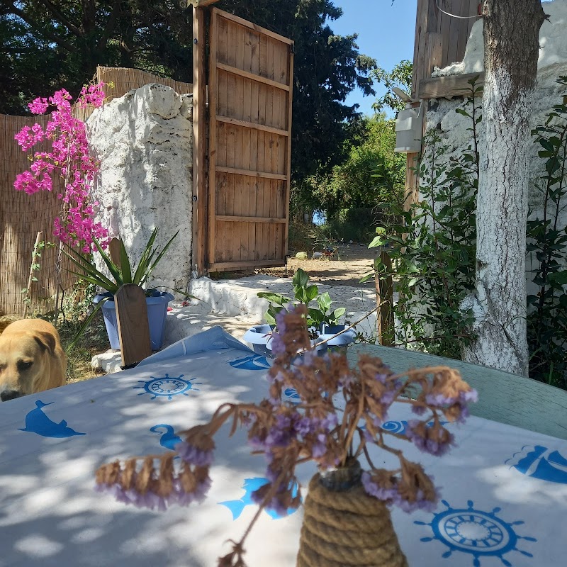 Wanderheaven Mutfak fotoğrafı