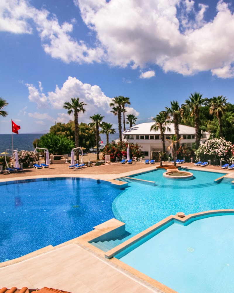Bodrum Nispet fotoğrafı