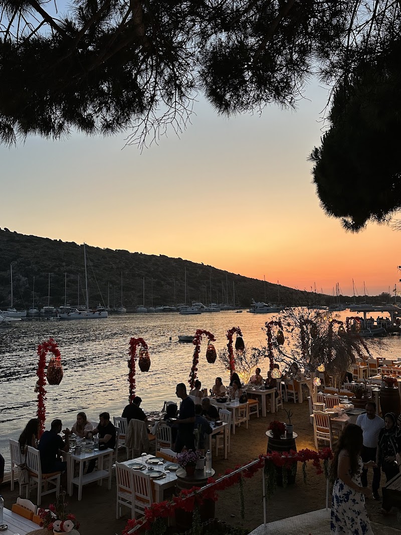 Koi Gümüşlük fotoğrafı