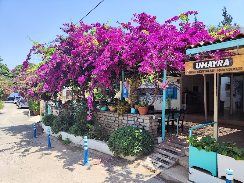 Umayra Apart Otel & Restaurant fotoğrafı