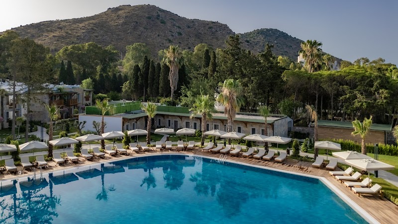 Suum Bodrum Hotel & Beach fotoğrafı