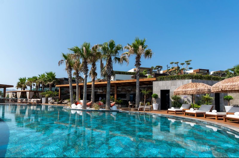 Bonventi Bodrum fotoğrafı