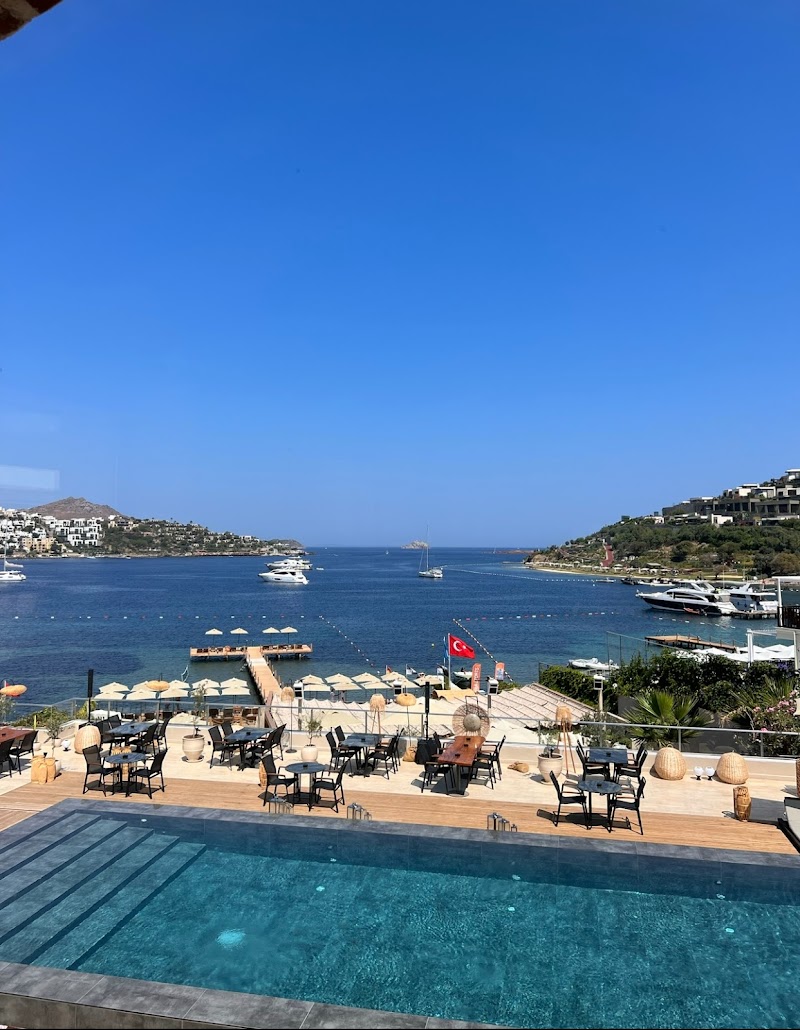Sips Bodrum fotoğrafı
